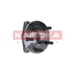 Roulement de roue avant KAMOKA 5500055 - Visuel 1