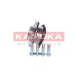 Roulement de roue avant KAMOKA 5500070 - Visuel 2