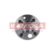 Roulement de roue arrière KAMOKA 5500089 - Visuel 1