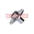Moyeu de roue avant KAMOKA 5500103 - Visuel 2