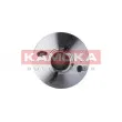 Roulement de roue arrière KAMOKA 5500125 - Visuel 1
