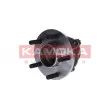 Roulement de roue arrière KAMOKA 5500140 - Visuel 1