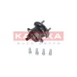 Roulement de roue arrière KAMOKA 5500144 - Visuel 2