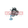 Roulement de roue avant KAMOKA 5500244 - Visuel 2