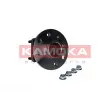Roulement de roue arrière KAMOKA 5500331 - Visuel 1