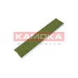 Filtre, air de l'habitacle KAMOKA 6080007 - Visuel 1