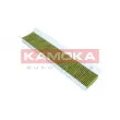 Filtre, air de l'habitacle KAMOKA 6080019 - Visuel 3