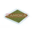 Filtre, air de l'habitacle KAMOKA 6080028 - Visuel 1