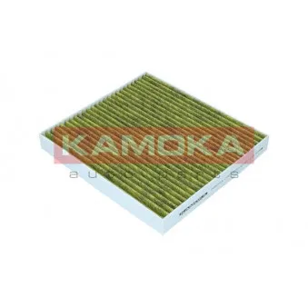 Filtre, air de l'habitacle KAMOKA 6080034