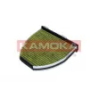 Filtre, air de l'habitacle KAMOKA 6080053 - Visuel 1