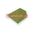 Filtre, air de l'habitacle KAMOKA 6080062 - Visuel 3