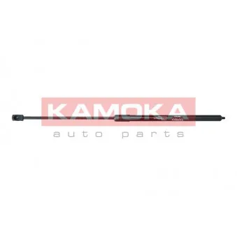 Vérin, capot-moteur avant droit KAMOKA 7091091