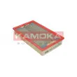 Filtre à air KAMOKA F205001 - Visuel 1