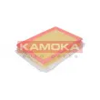 Filtre à air KAMOKA F207101 - Visuel 1