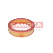 Filtre à air KAMOKA F209301 - Visuel 1