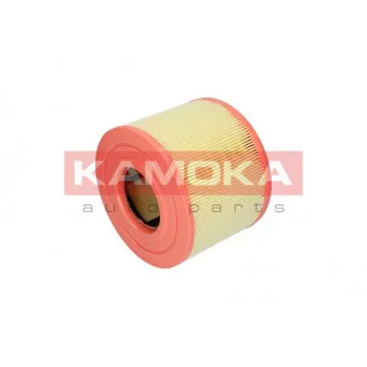 Filtre à air KAMOKA F215201