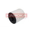 Filtre à air KAMOKA F215301 - Visuel 1
