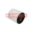 Filtre à air KAMOKA F215301 - Visuel 2
