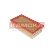 Filtre à air KAMOKA F223601 - Visuel 2