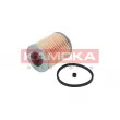 Filtre à carburant KAMOKA F301101 - Visuel 1