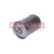 Filtre à carburant KAMOKA F301201 - Visuel 1