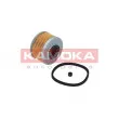Filtre à carburant KAMOKA F303101 - Visuel 1