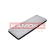 Filtre, air de l'habitacle KAMOKA F400301 - Visuel 1