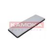 Filtre, air de l'habitacle KAMOKA F400501 - Visuel 1