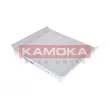 Filtre, air de l'habitacle KAMOKA F400701 - Visuel 2