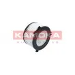 Filtre, air de l'habitacle KAMOKA F401401 - Visuel 3