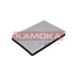Filtre, air de l'habitacle KAMOKA F401501 - Visuel 1