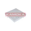 Filtre, air de l'habitacle KAMOKA F403001 - Visuel 1