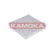 Filtre, air de l'habitacle KAMOKA F403001 - Visuel 3