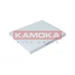 Filtre, air de l'habitacle KAMOKA F403301 - Visuel 1