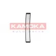 Filtre, air de l'habitacle KAMOKA F403901 - Visuel 2