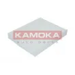 Filtre, air de l'habitacle KAMOKA F405601 - Visuel 1