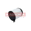 Filtre, air de l'habitacle KAMOKA F407401 - Visuel 3