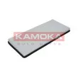 Filtre, air de l'habitacle KAMOKA F408001 - Visuel 1