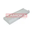 Filtre, air de l'habitacle KAMOKA F408801 - Visuel 3