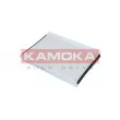 Filtre, air de l'habitacle KAMOKA F408901 - Visuel 1