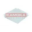 Filtre, air de l'habitacle KAMOKA F409701 - Visuel 1