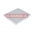 Filtre, air de l'habitacle KAMOKA F410201 - Visuel 1
