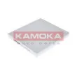 Filtre, air de l'habitacle KAMOKA F410201 - Visuel 3