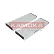 Filtre, air de l'habitacle KAMOKA F410301 - Visuel 3