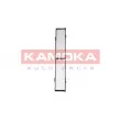 Filtre, air de l'habitacle KAMOKA F410601 - Visuel 1