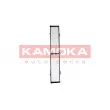Filtre, air de l'habitacle KAMOKA F410601 - Visuel 2