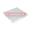 Filtre, air de l'habitacle KAMOKA F411301 - Visuel 1