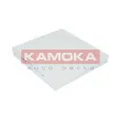 Filtre, air de l'habitacle KAMOKA F411501 - Visuel 1