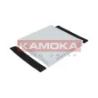 Filtre, air de l'habitacle KAMOKA F411901 - Visuel 1