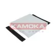 Filtre, air de l'habitacle KAMOKA F411901 - Visuel 3